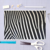 Zebra Print Black Fur Tissuepapier (Craft)