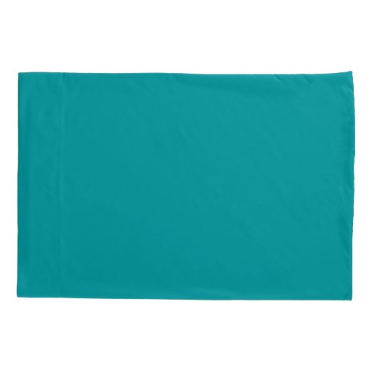 Zebra Print Hecht Blauwgroen wit monogram Kussensloop (Achterkant)