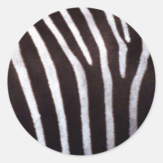 zebra print ronde sticker (Voorkant)