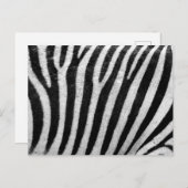 Zebra Print, Zebra Stripes, zwart en wit Briefkaart (Voorkant / Achterkant)