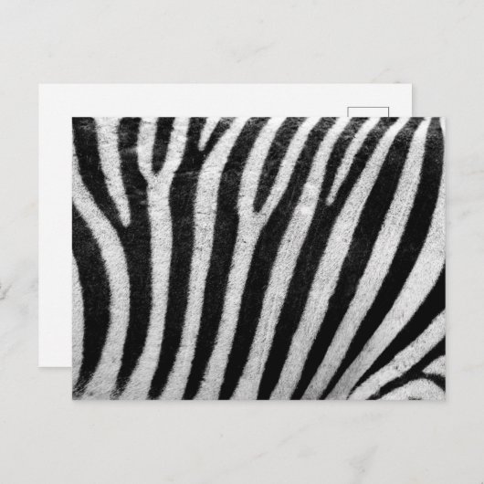 Zebra Print, Zebra Stripes, zwart en wit Briefkaart (Voorkant / Achterkant)