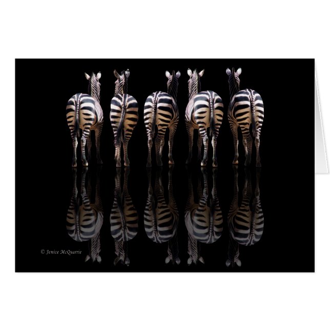 Zebra Reflecties (Voorkant Horizontaal)