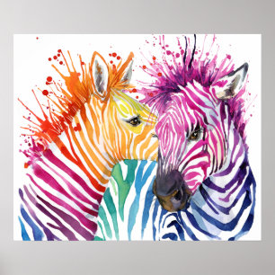 Zebra regenboogPoster Poster