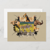 Zebra rol van Afrikaanse Wildlife Lijst Briefkaart (Voorkant / Achterkant)