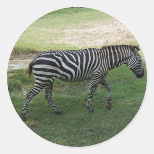 Zebra Ronde Sticker (Voorkant)