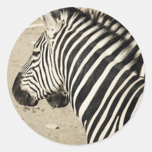 Zebra Ronde Sticker (Voorkant)