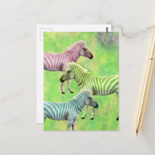 Zebra Roze Blauw Groen Briefkaart