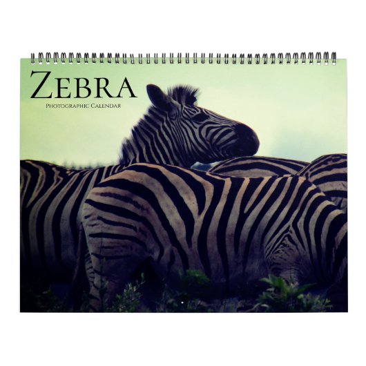 zebra safari 2025 groot kalender (Hoes)