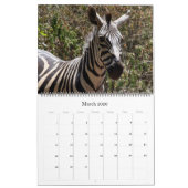 zebra safari 2025 groot kalender (Mar 2026)