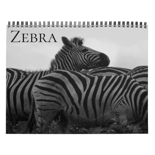 zebra Safari 2026 Kalender (Hoes)