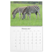 zebra safari 2027 groot kalender (Feb 2027)
