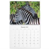 zebra safari 2027 groot kalender (Jan 2027)