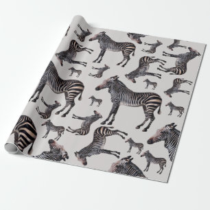 Zebra Safari  Illustratie Cadeaupapier