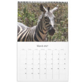 zebra safari kalender (Mar 2027)