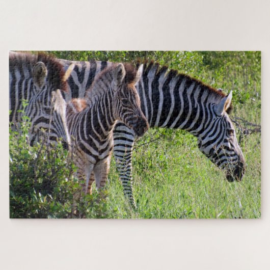 zebra safari legpuzzel (Horizontaal)