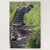 zebra safari legpuzzel (Verticaal)