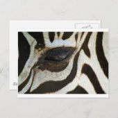 Zebra schattig sereen afbeelding briefkaart (Voorkant / Achterkant)