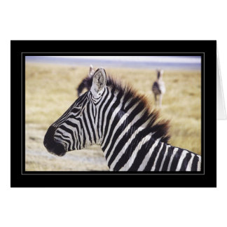 Zebra sluiten