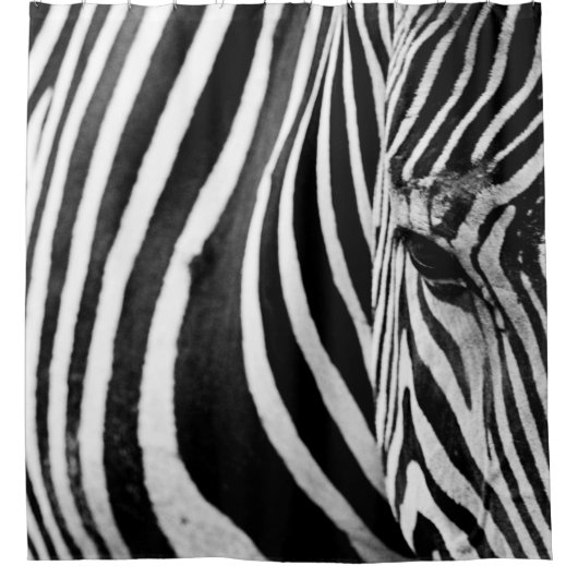 ZEBRA SLUITING UITZICHT DOUCHEGORDIJN (Voorkant)