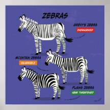 Zebra Soort Art Poster v2