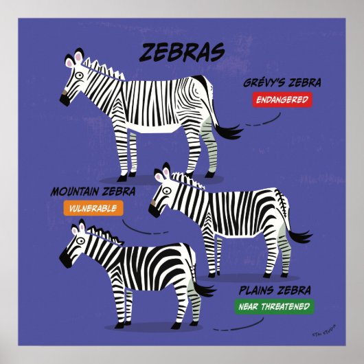 Zebra Soort Art Poster v2 (Voorkant)