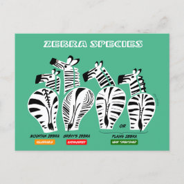 Zebra Soort Briefkaart