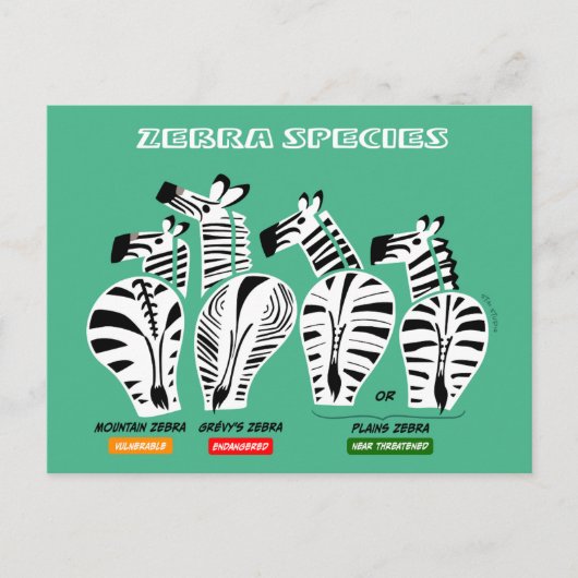 Zebra Soort Briefkaart (Voorkant)