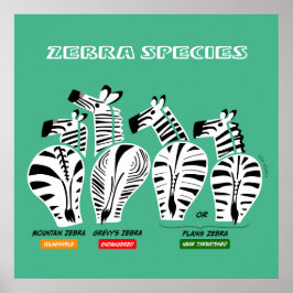 Zebra Soort KunstPoster Poster