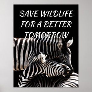 Zebra, sparen Wildlife voor een Betere Natuur van  Poster