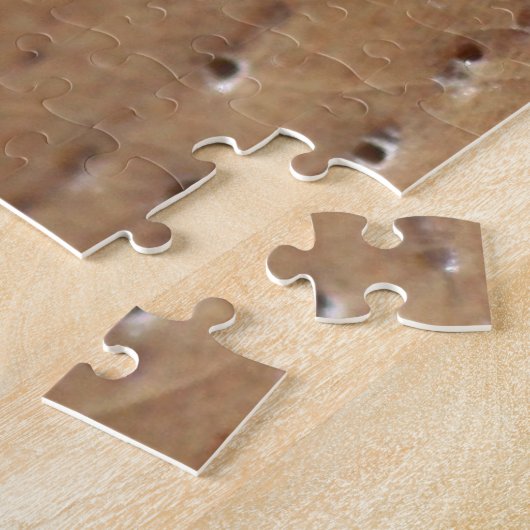 Zebra Spider Puzzle (Côté)