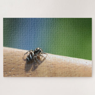 Zebra Spider Puzzle Legpuzzel