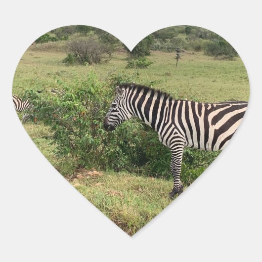 Zebra Sticker (Voorkant)