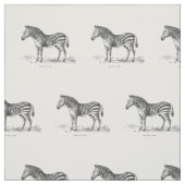 Zebra Stof (Swatch)