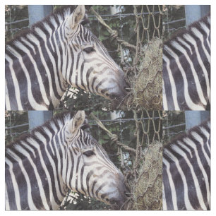 Zebra Stof