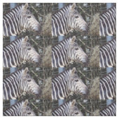 Zebra Stof (Swatch)