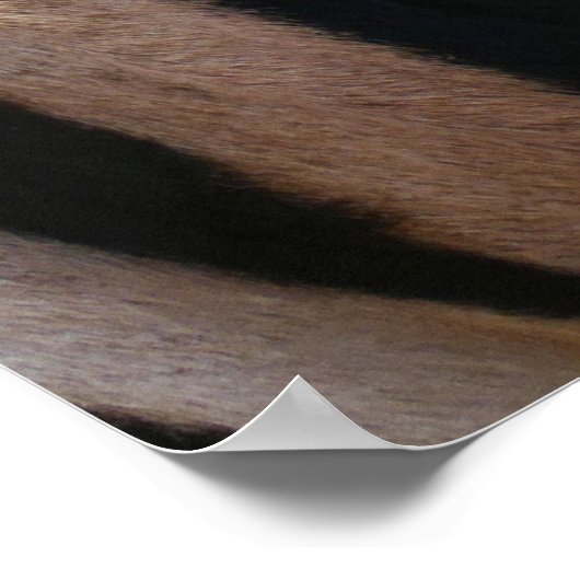 Zebra Strepen Zwart en Wit Poster (Hoek)