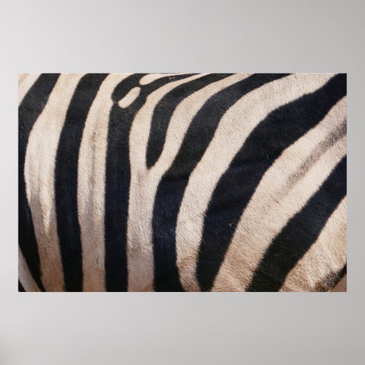 Zebra Strepen Zwart en Wit Poster (Voorkant)