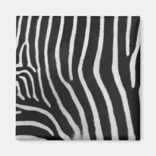 Zebra Stripe Patroon Square Magnet Magneet