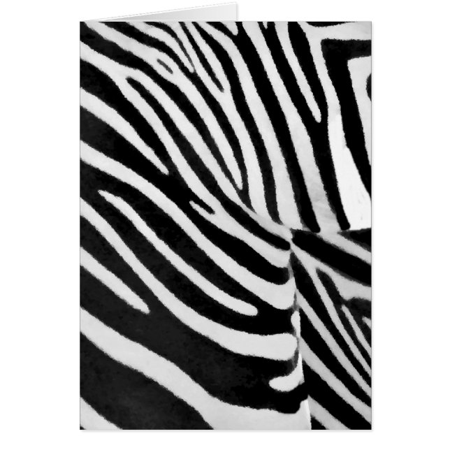 Zebra Stripes#3_ (Voorkant)