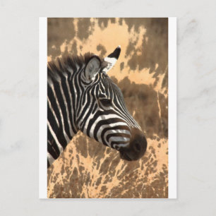 Zebra Stripes Briefkaart