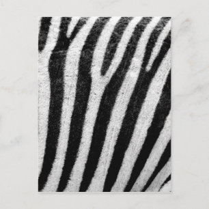 Zebra Stripes Briefkaart