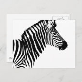 Zebra Stripes Briefkaart (Voorkant / Achterkant)