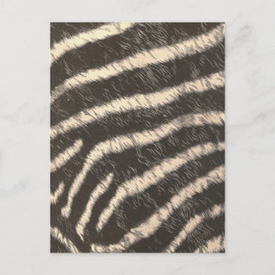 Zebra Stripes Briefkaart