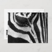 Zebra Stripes Briefkaart (Voorkant / Achterkant)