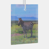 ZEBRA STRIPES GLAS ORNAMENT (Voorkant Rechts)