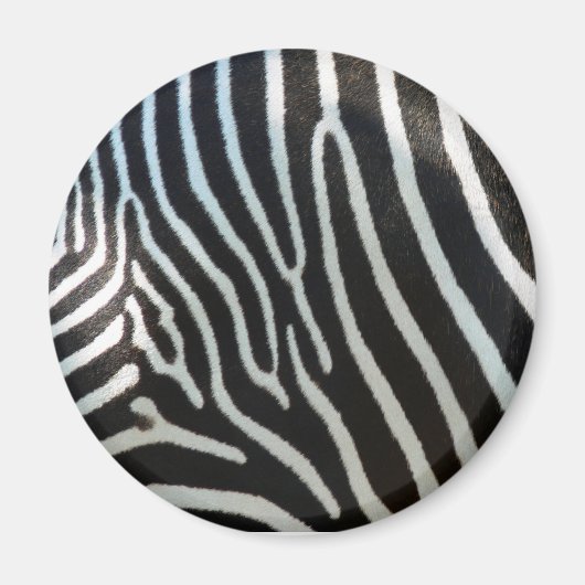 Zebra Stripes Magneet (Voorkant)