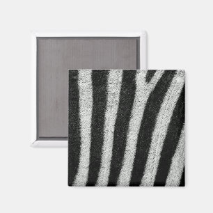 Zebra Stripes Magnet Magneet