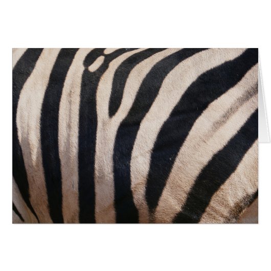 Zebra Stripes noir et blanc (Devant horizontal)