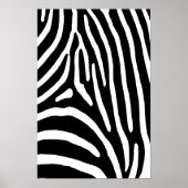 Zebra Stripes Poster (Voorkant)