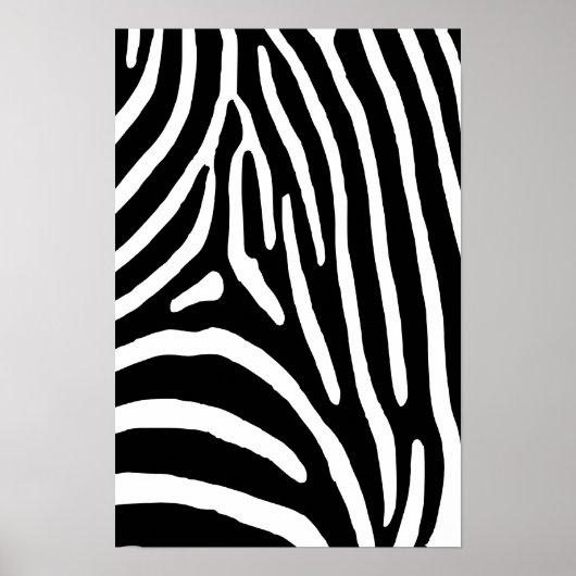 Zebra Stripes Poster (Voorkant)